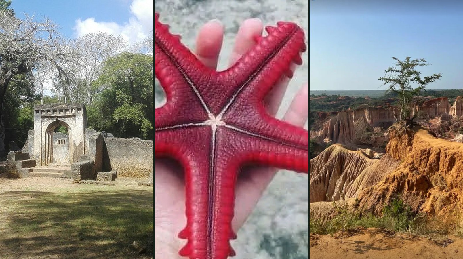 Rovine di Gede, stella marina all'Isola Robinson e canyon di Marafa