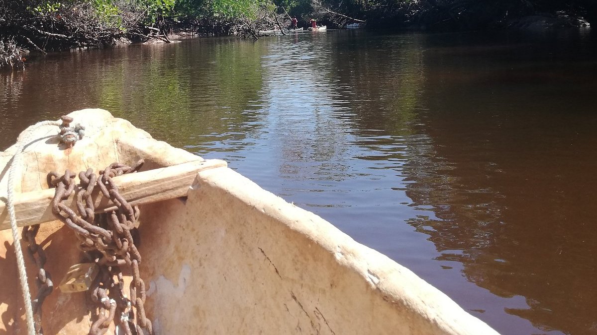 Giro in canoa tra le mangrovie di Watamu