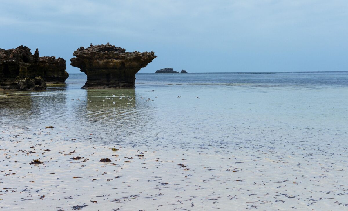 Spiaggia incotamite e acqua cristallina a Sardegna2