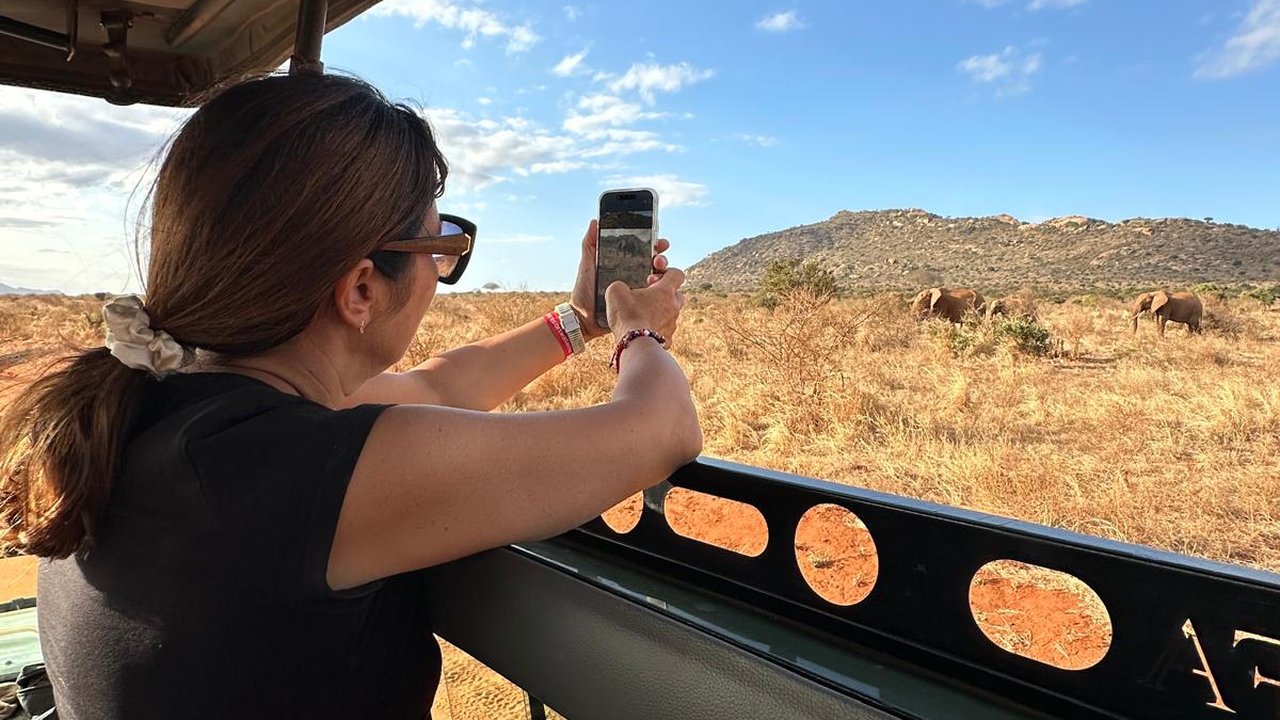 Turista fotografa gli elefanti dal fuoristrada
